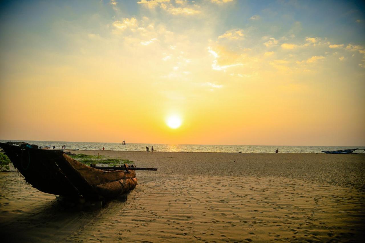 Hotel The Cove Negombo Zewnętrze zdjęcie